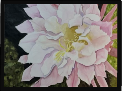 Print of Pink Cactus Flower Watercolor Painting