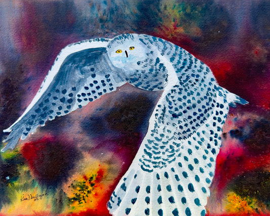 Snowy Owl i Flight Original Watercolor Painting