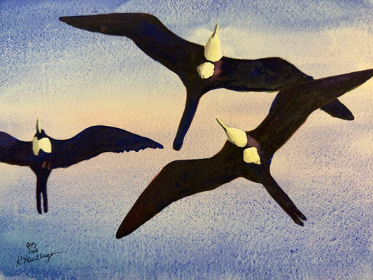 Watercolor painting of three frigate birds flying against a textured blue and orange sky.