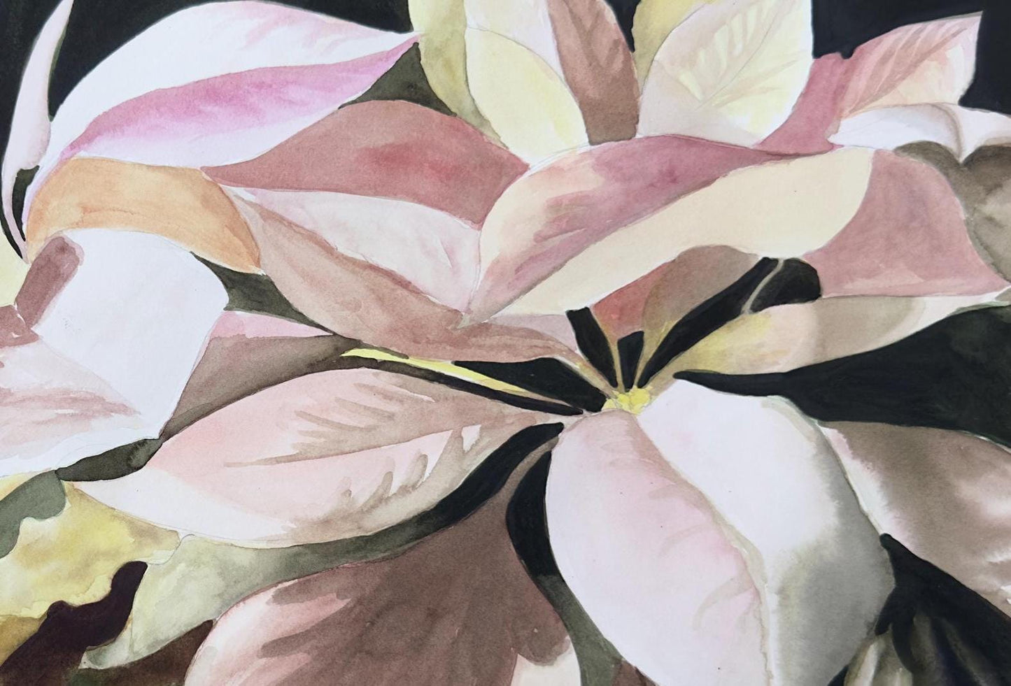Pink Poinsettia Original Watercolor Painting