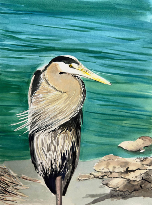 Print of Great Blue Heron
