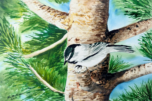 Watercolor painting of a black capped chickadee on a textured pine tree branch. with blue sky