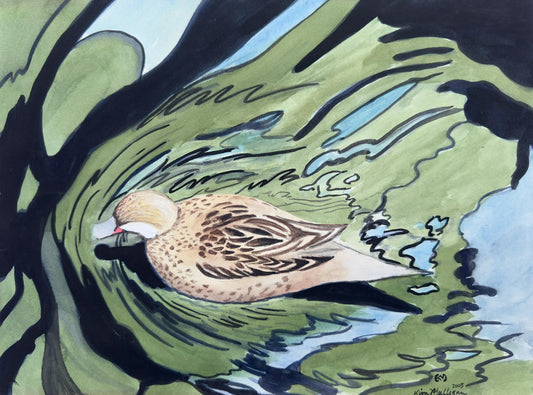 Pintail Duck Original Watercolor Painting