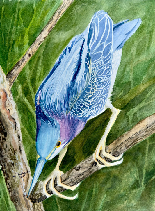 Blue bird perched on a branch with a green leafy background