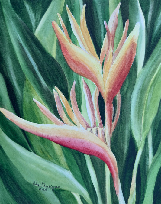 Watercolor painting of yellow and orange heliconia flower with green leaves.
