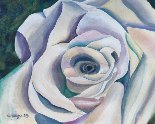 Print of Multicolored Rose