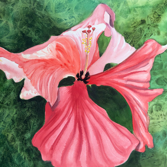 Print of Pink Hibiscus Flower