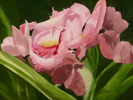 Print of Pink Iris Blossom