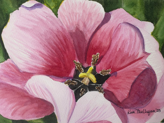 Pink Tulip Original Watercolor Painting