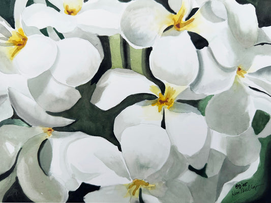 Plumeria Flowers Original Watercolor Painting