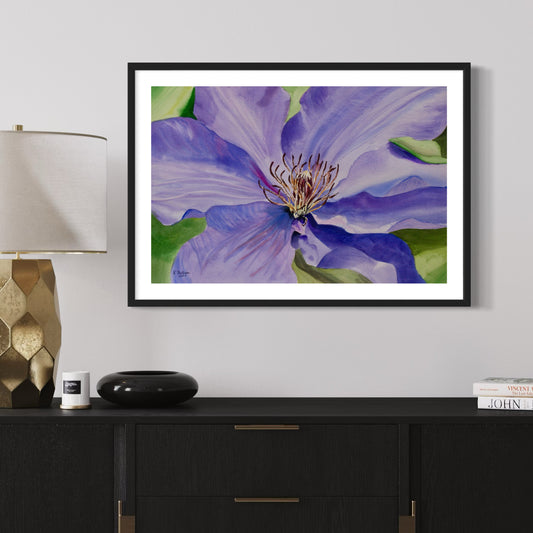 Print of Purple Clematis Watercolor Painting