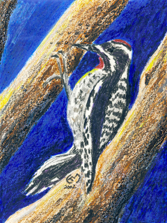 Mixed media painting of a woodpecker bird perched on a textured branch with a blue background