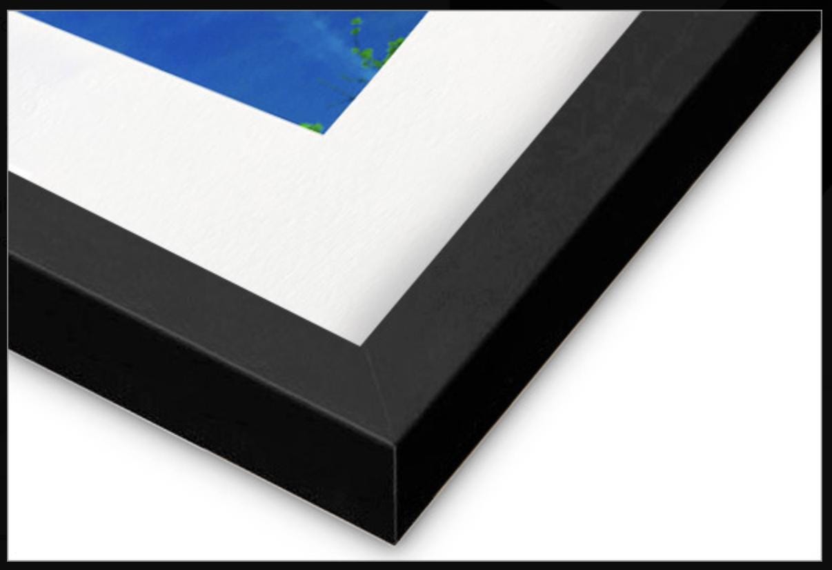 Print of Rooster Collage