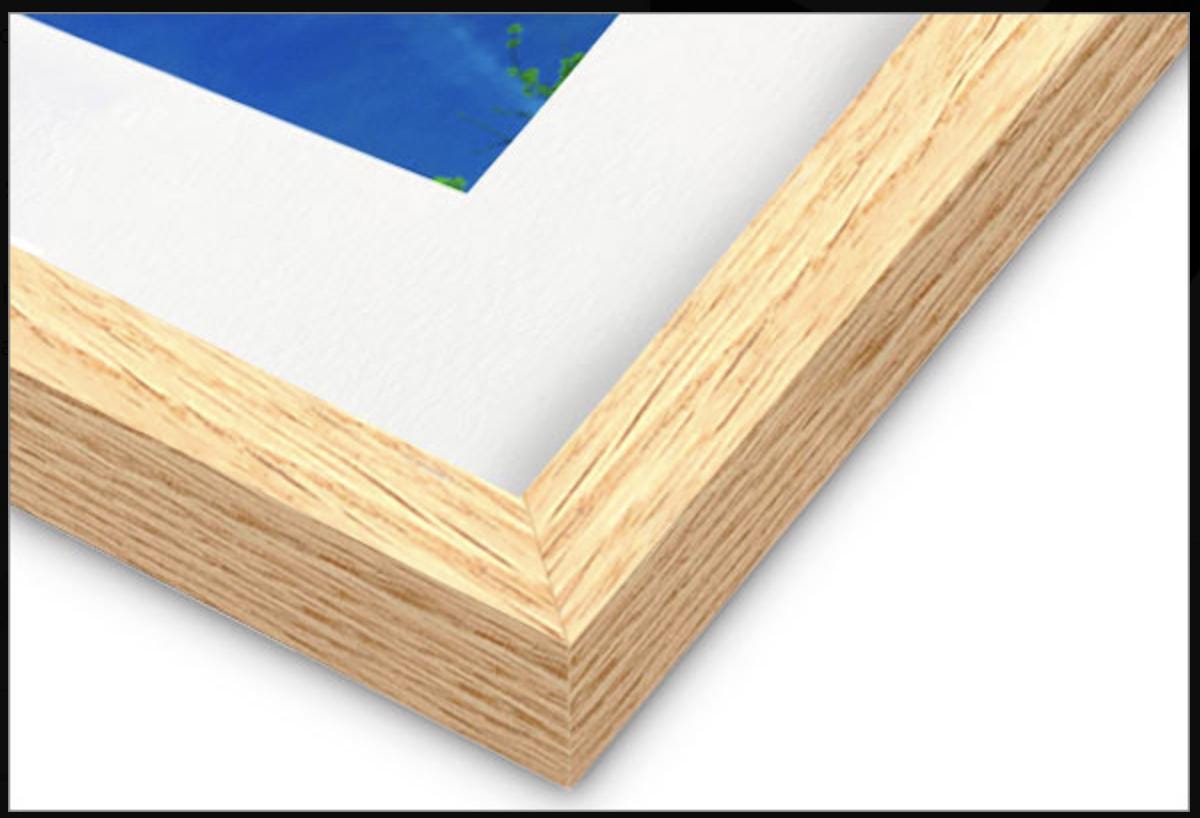 Print of Rooster Collage