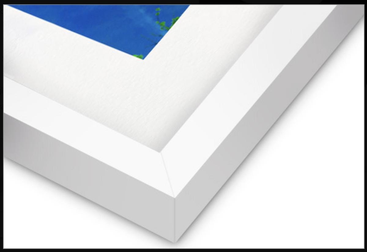 Print of Rooster Collage