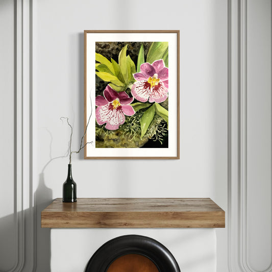 Print of Pink and White Orchids
