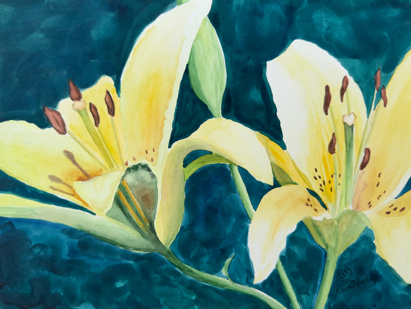 Watercolor painting of yellow daylily flowers with green leaves on a dark blue background