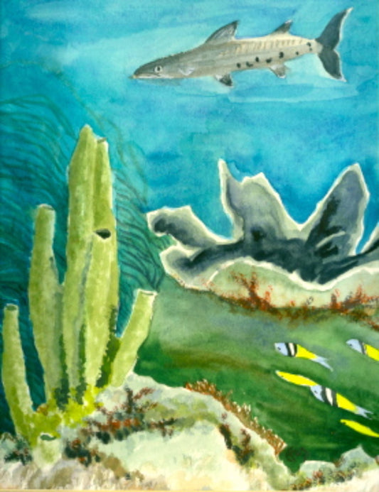 Barracuda and Coral Original Watercolor Painting