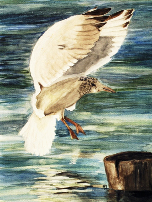 Watercolor painting of a seagull landing on a pilon over water.