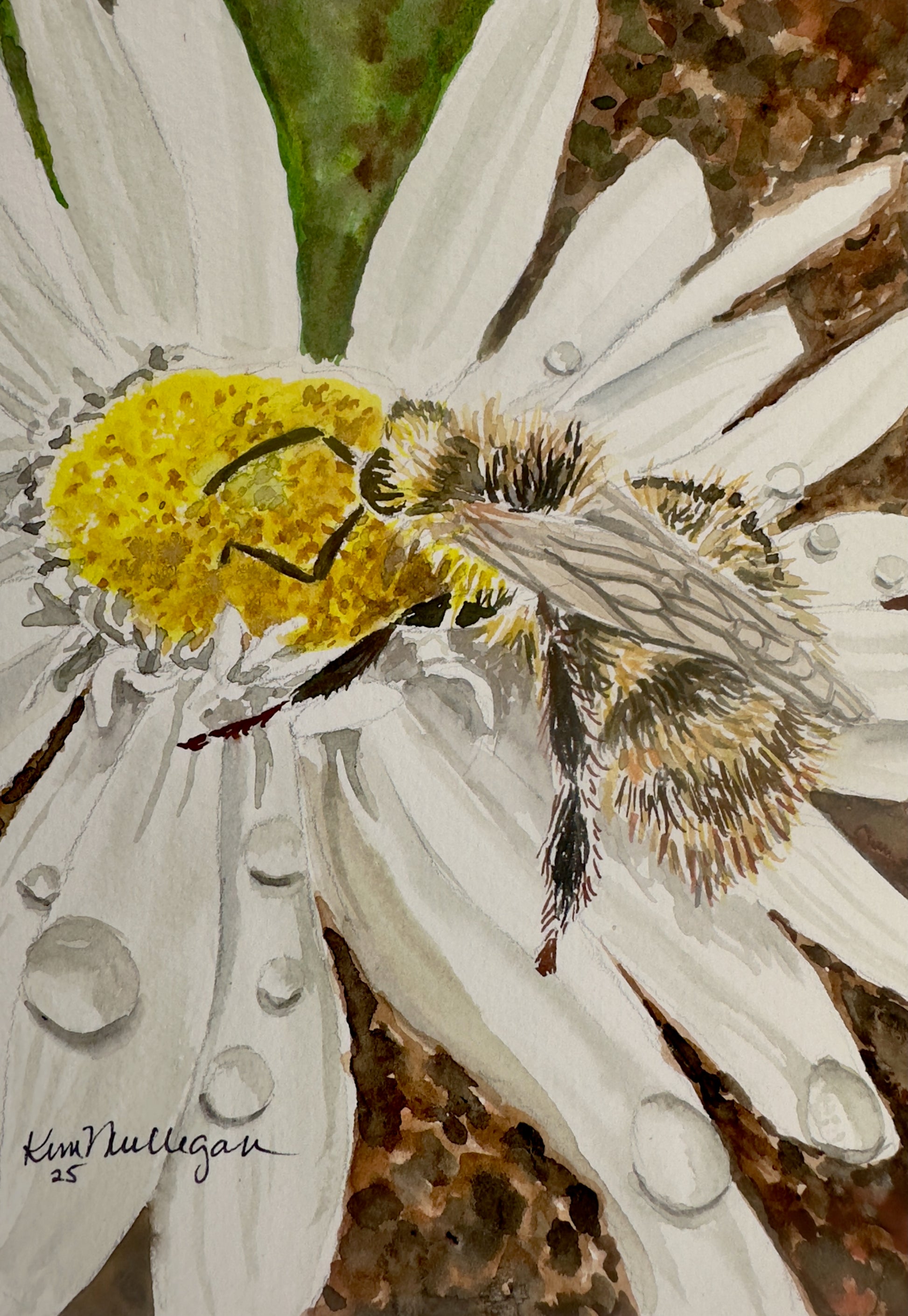 Artistic watercolor painting of a bee on a white daisy flower with water droplets