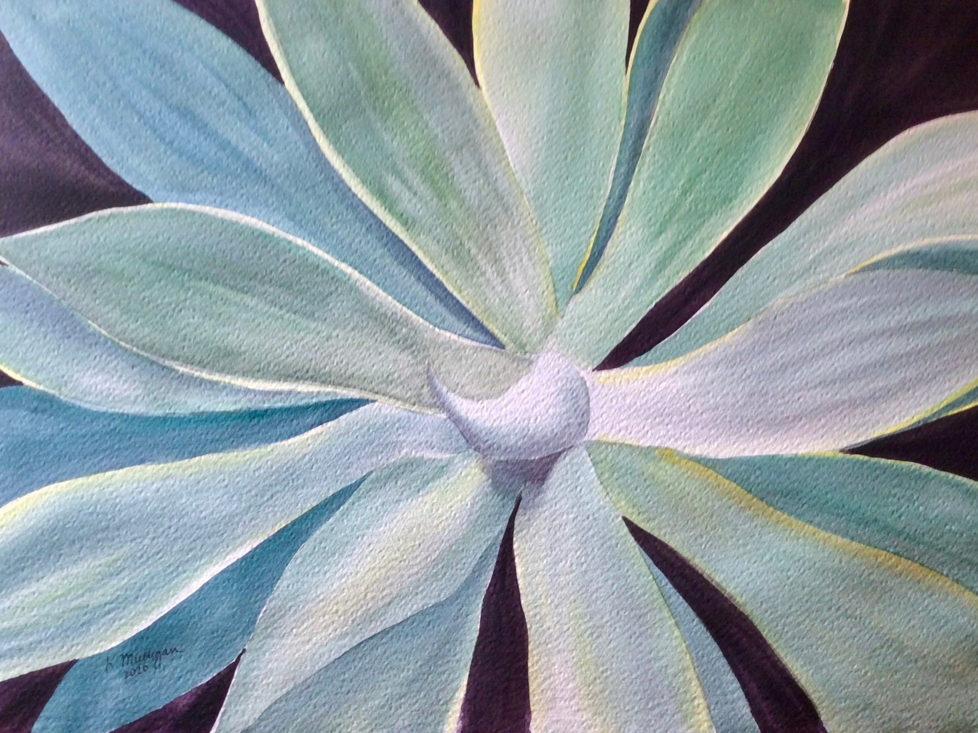 watercolor painting of a large agave succulent plant.
