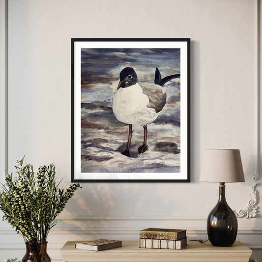 Black Headed Gull Original Watercolor Painting