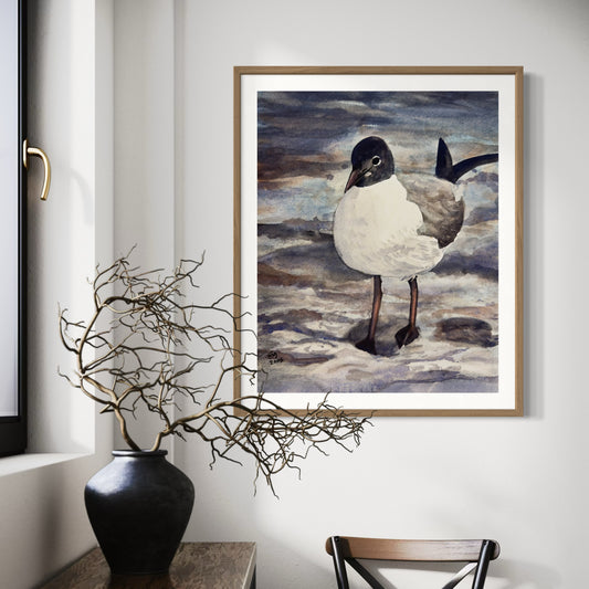 Print of Black Headed Gull