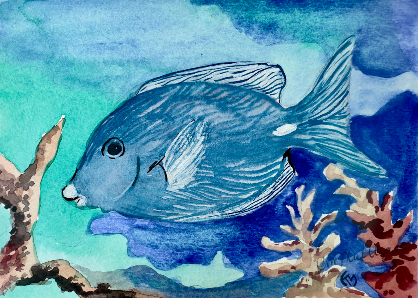 Blue tang tropical fish watercolor painting with coral .