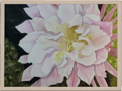 Print of Pink Cactus Flower Watercolor Painting