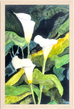 Print of Three Cala Lilies Watercolor Painting