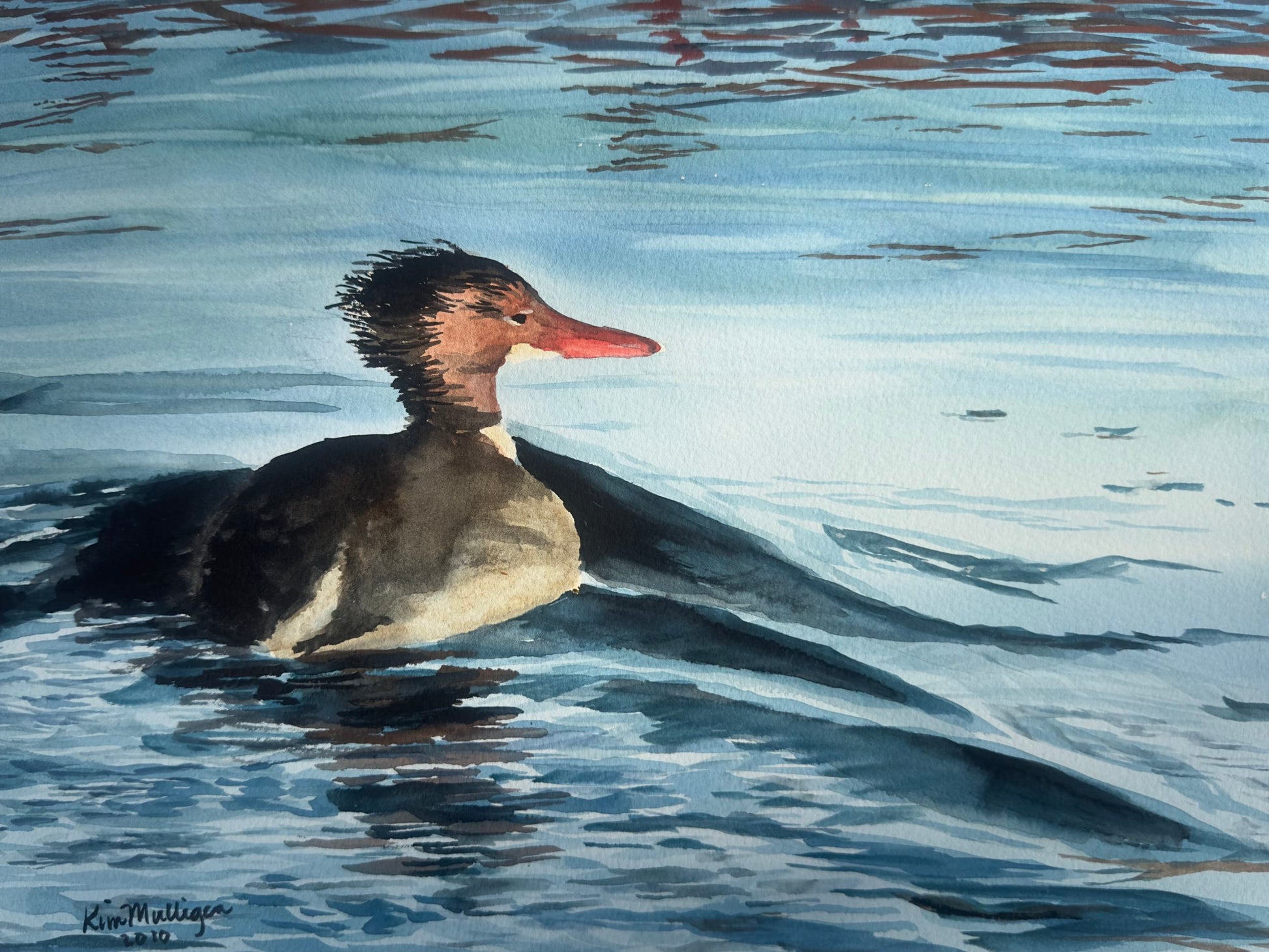 Watercolor painting of a common merganser on water.
