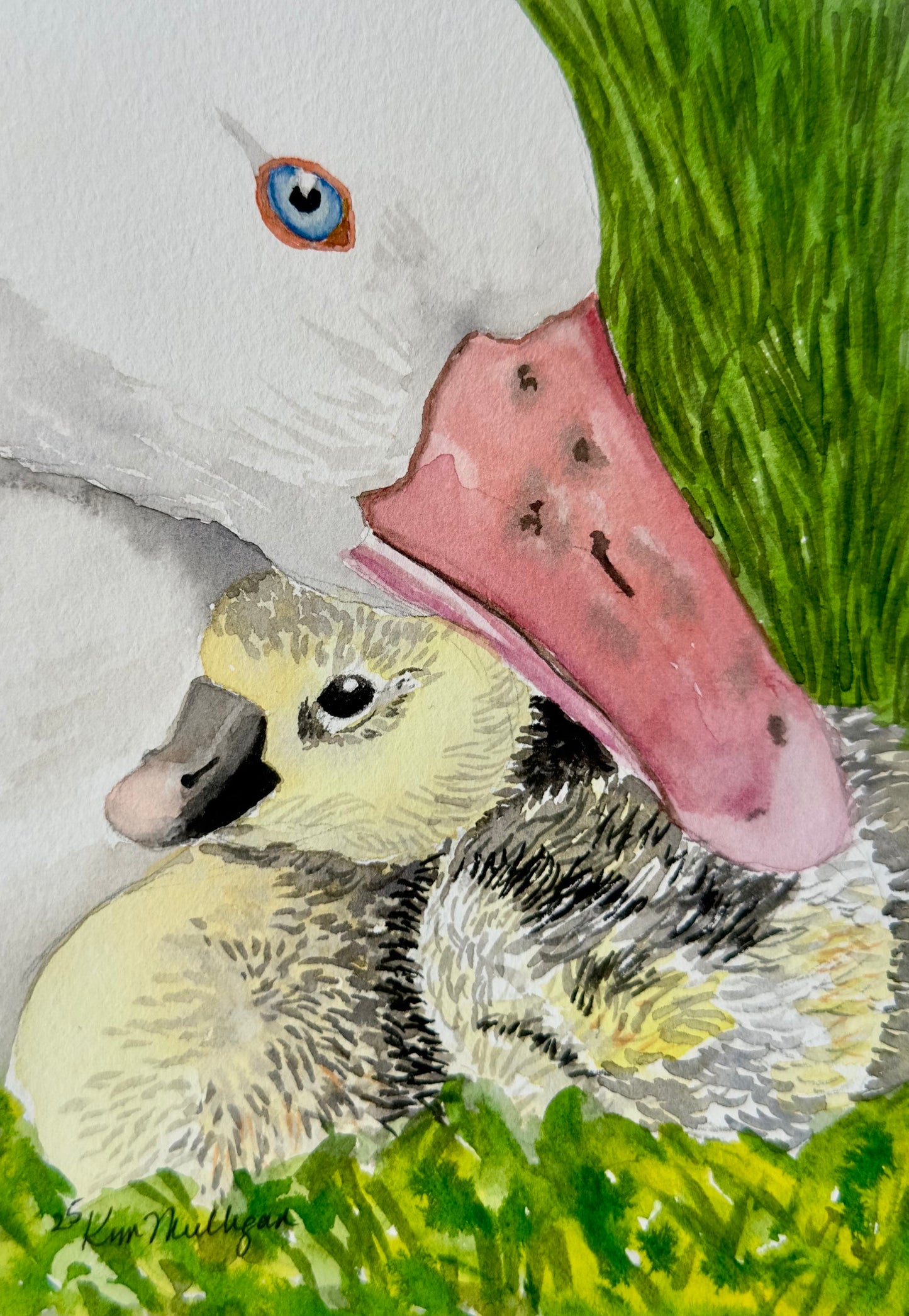 watercolor painting of a white mother duck sheltering her duckling in the grass.