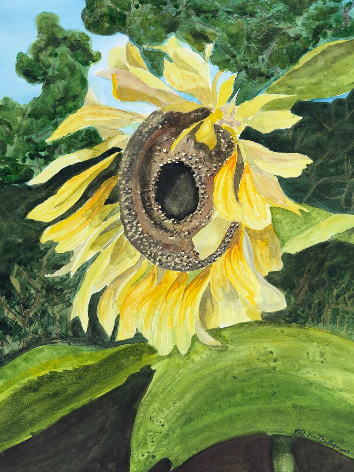 Print of Sunflower Watercolor Painting