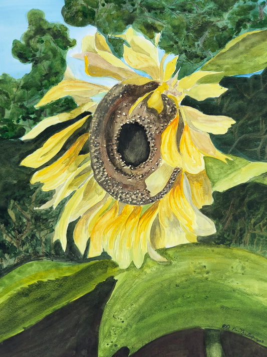 Print of Sunflower Watercolor Painting