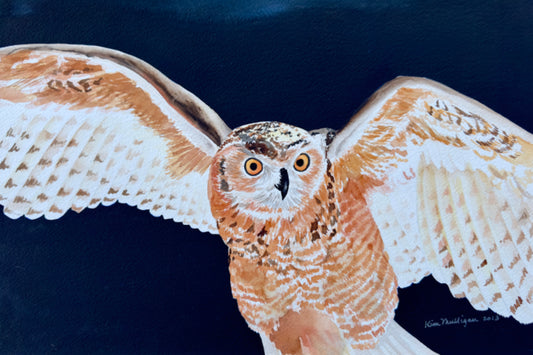 Watercolor painting of a Eurasian hawk owl with open wings against a dark background.