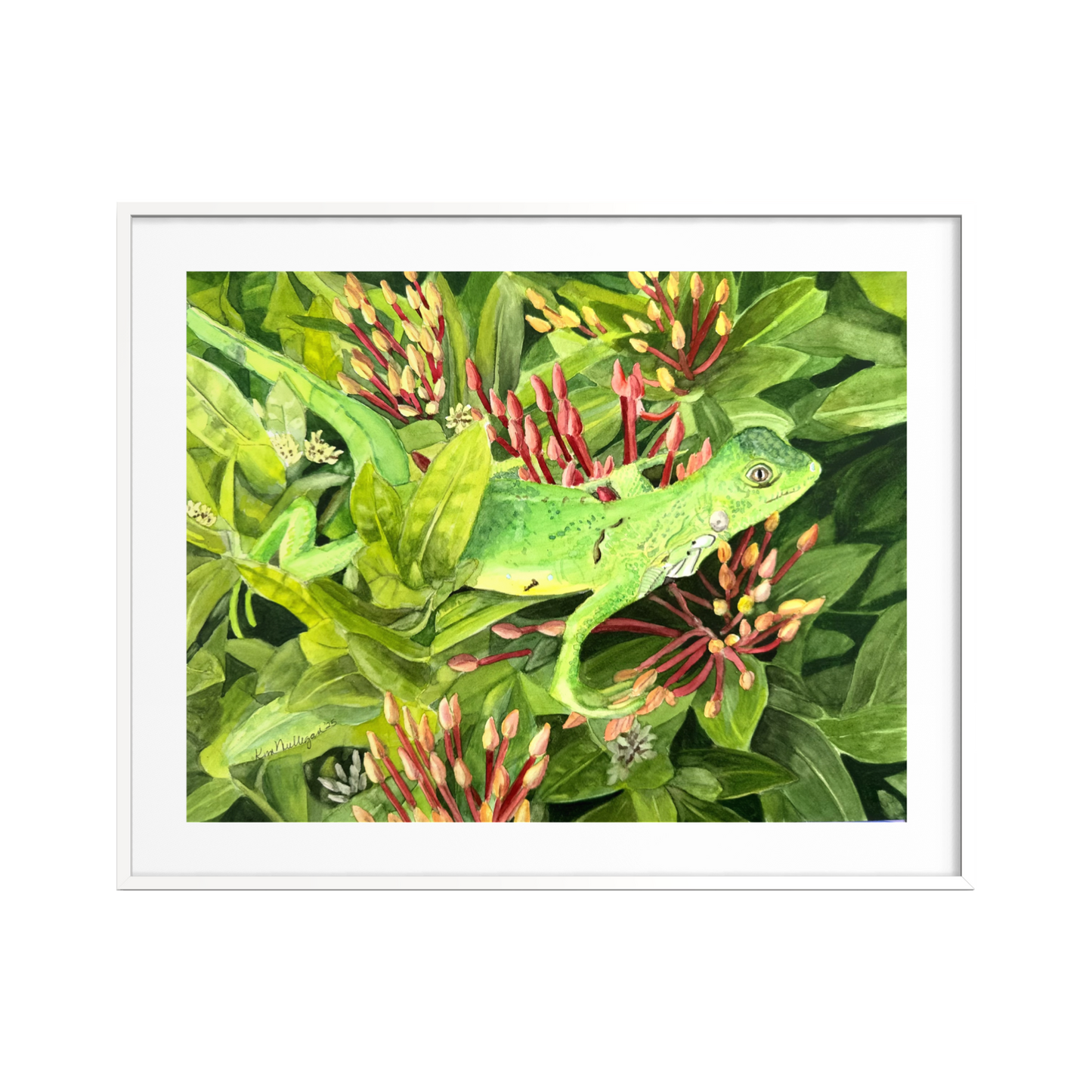 Print of Iguana in Ixora Bush Watercolor Painting
