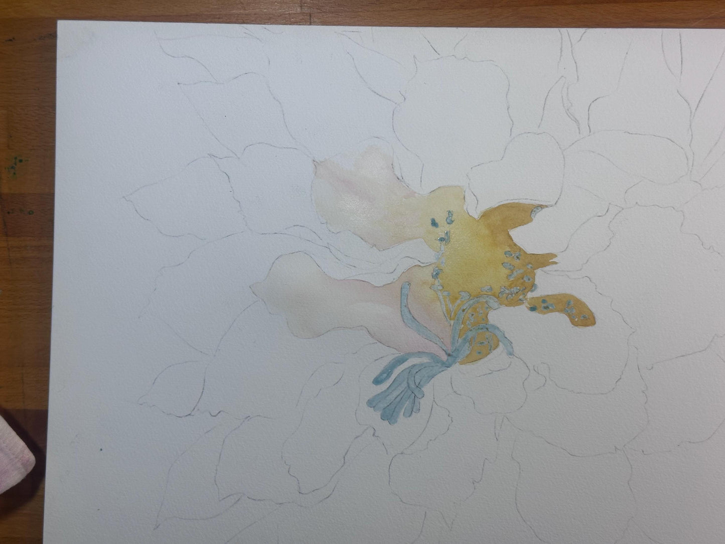 Print of Pink Cactus Flower