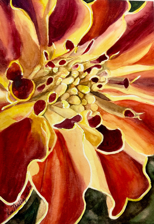 Print of a Marigold Flower Original Watercolor Painting