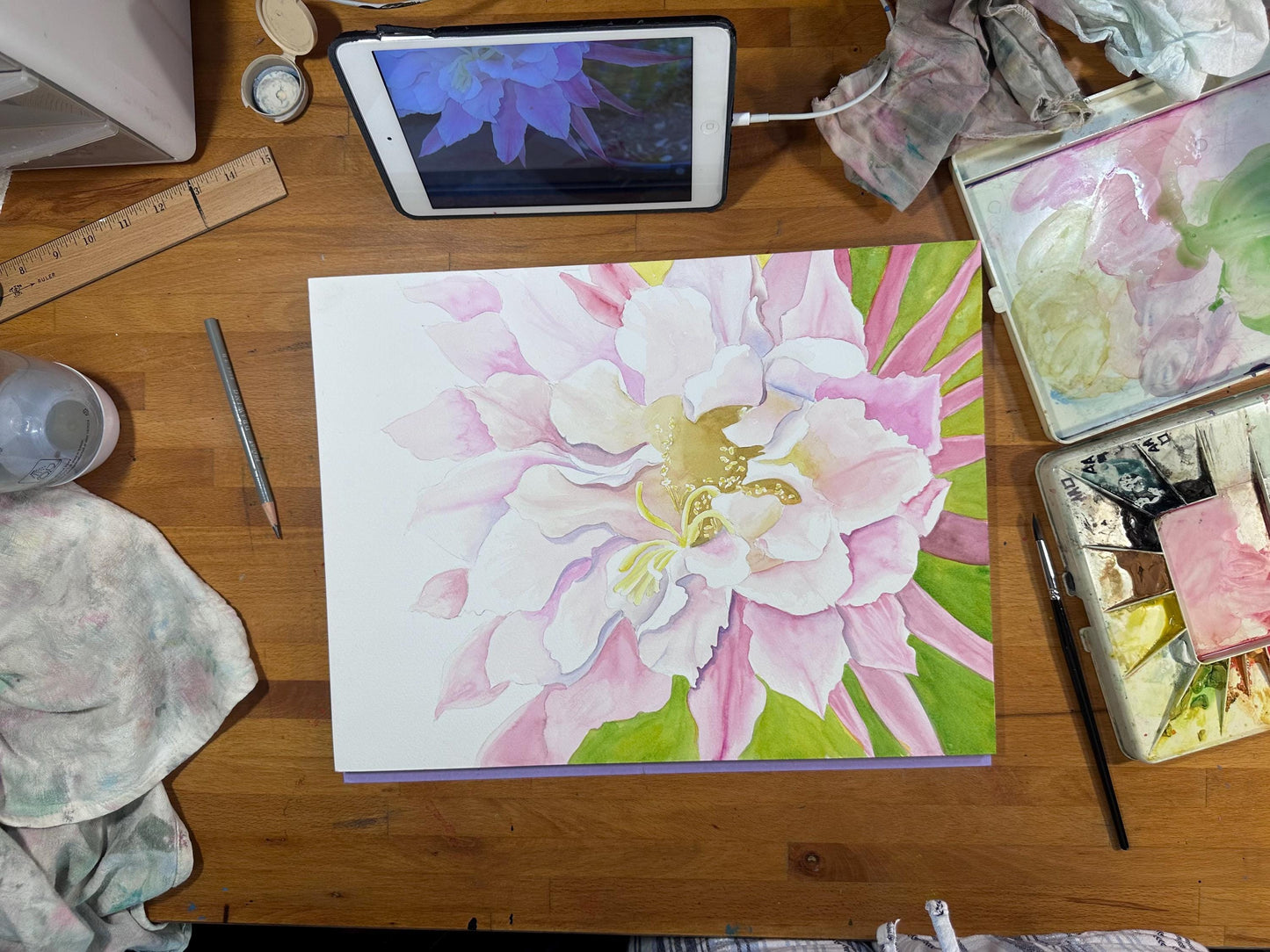 Print of Pink Cactus Flower