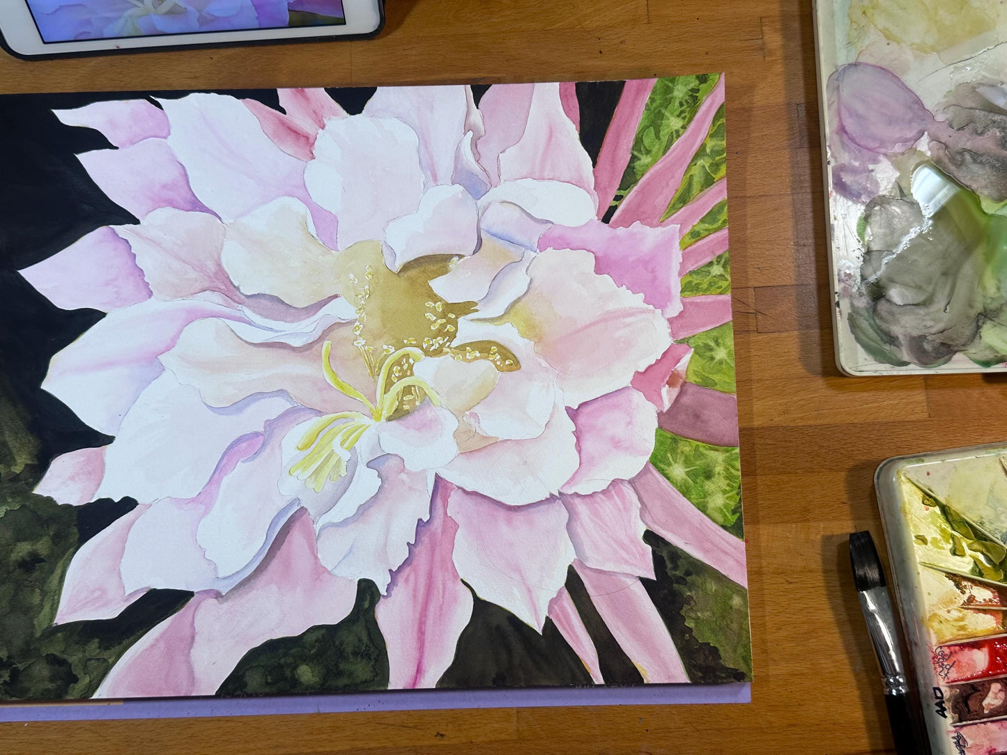 Print of Pink Cactus Flower