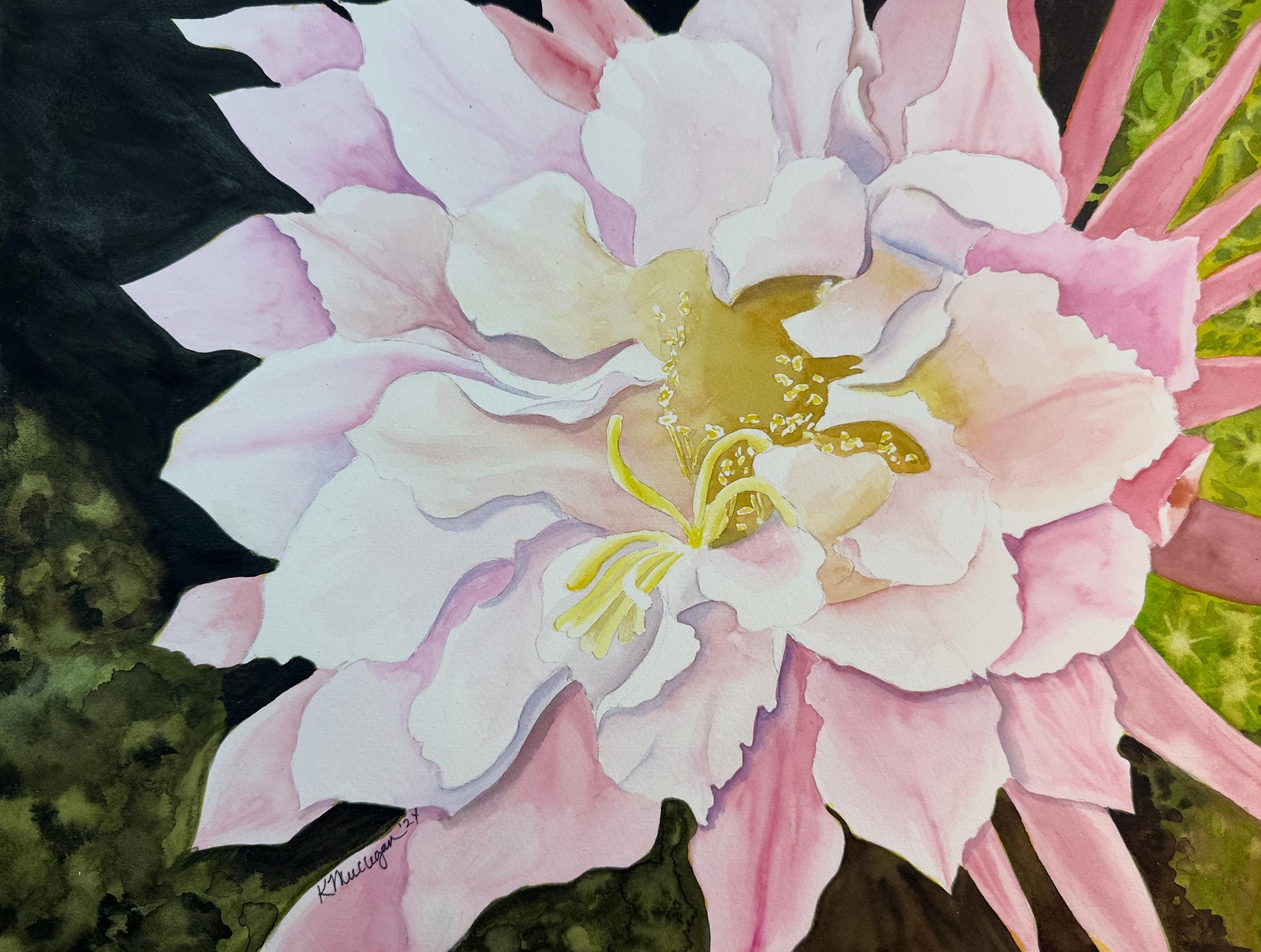 Watercolor painting of a cactus flower blooming in dark background.