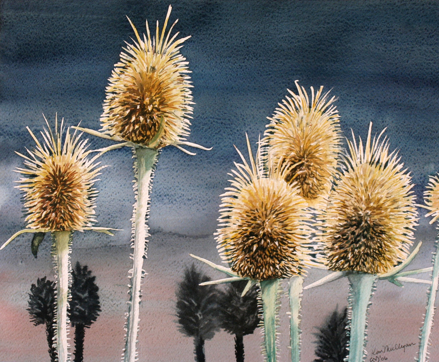 Print of Wild Teasel