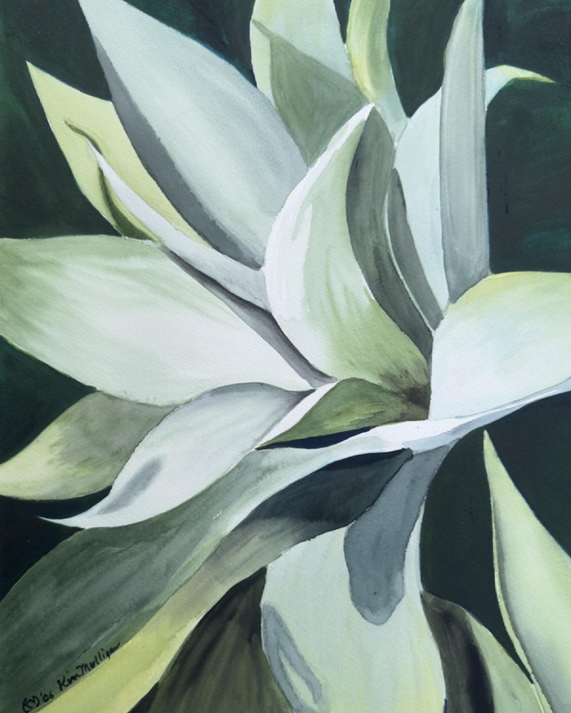 Watercolor painting of green agave plant on dark background.