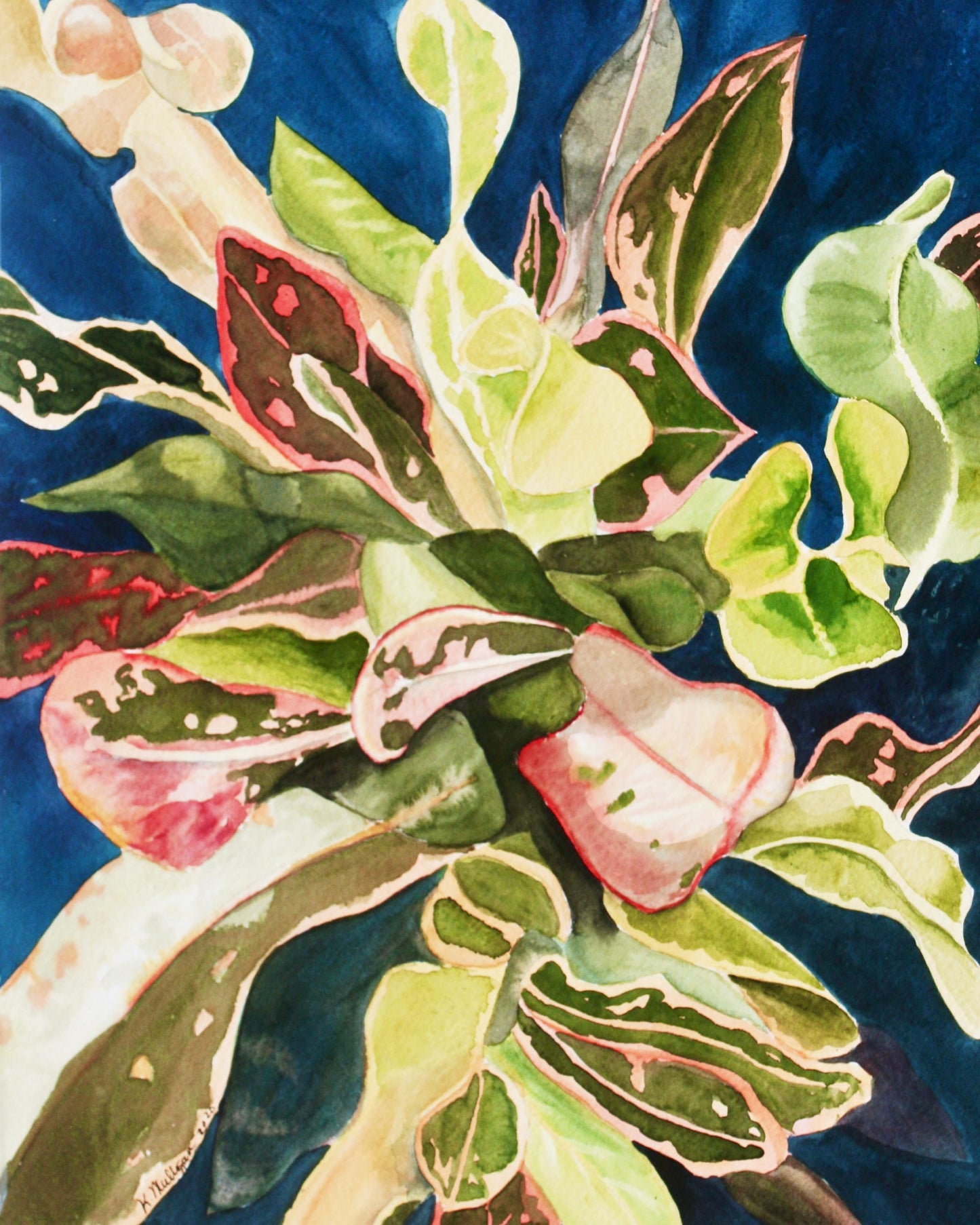 Croton Plant Original Watercolor Painting