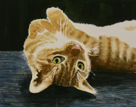 Watercolor pet portrait of orange tabby laying on back.