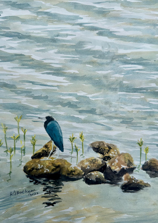 Little Blue Heron on Rocks Original Watercolor Painting