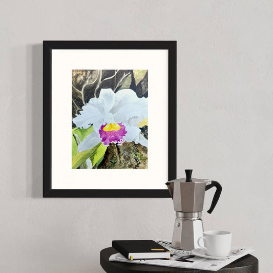 Print of Pink and White Orchid Flower