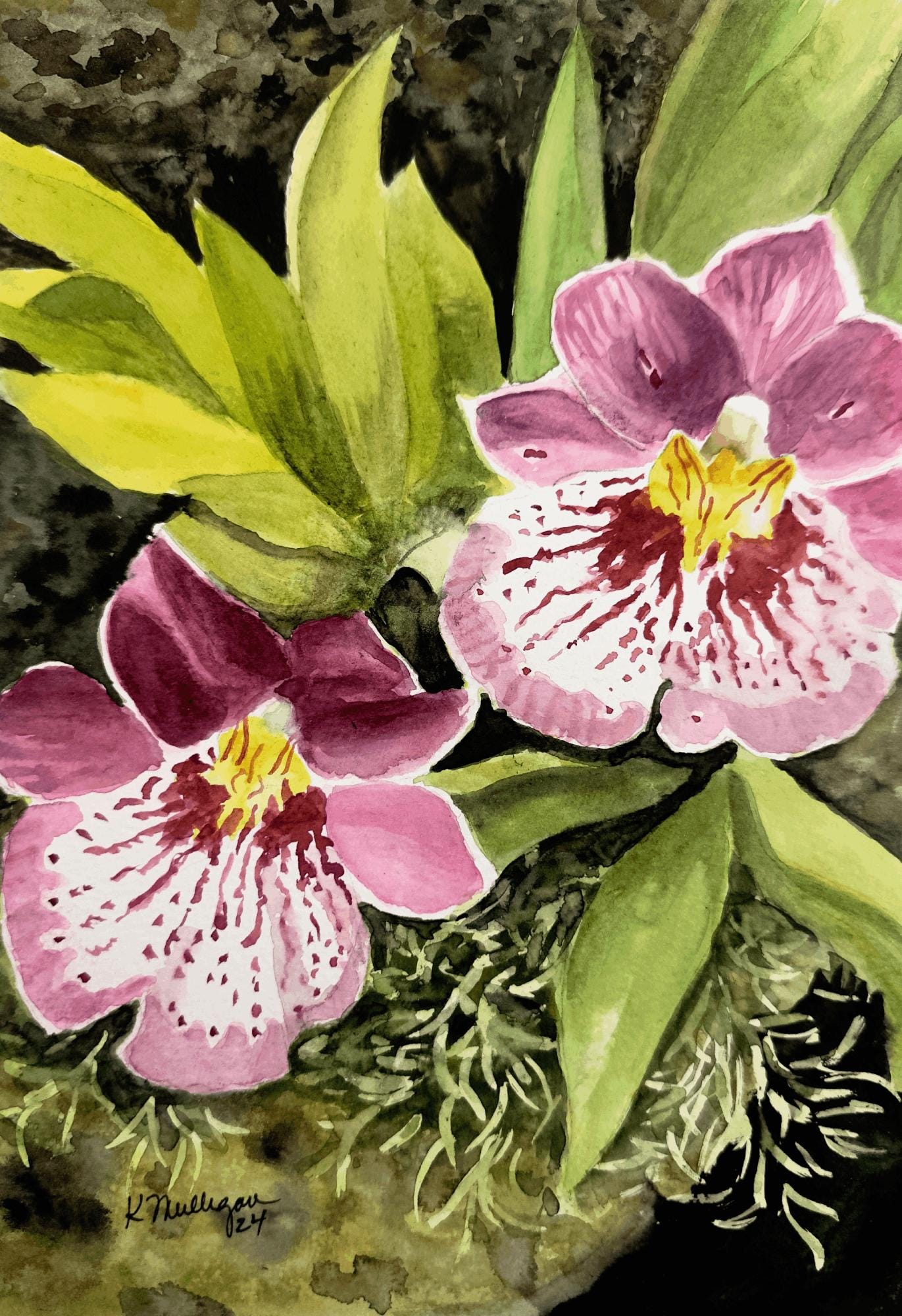 Print of Pink and White Orchids