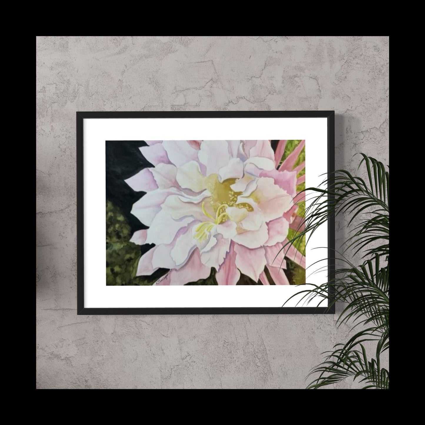 Print of Pink Cactus Flower