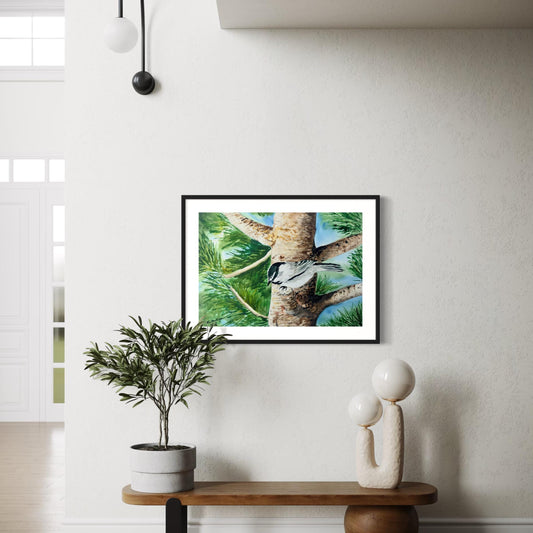 Framed watercolor painting of a black capped chickadee on a pine tree branch. 